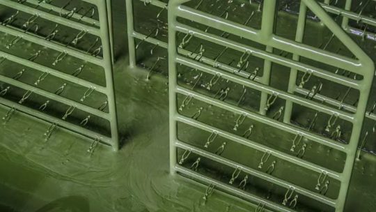 O que muda com revestimento de plastisol para gancheiras?
